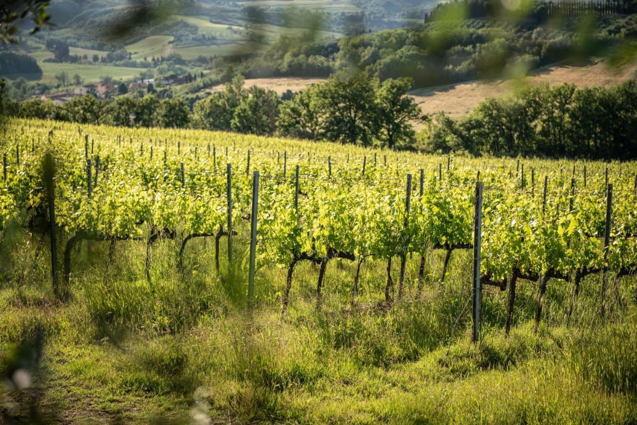 מוטספרטולי Agriturismo Casale Ugolini מראה חיצוני תמונה